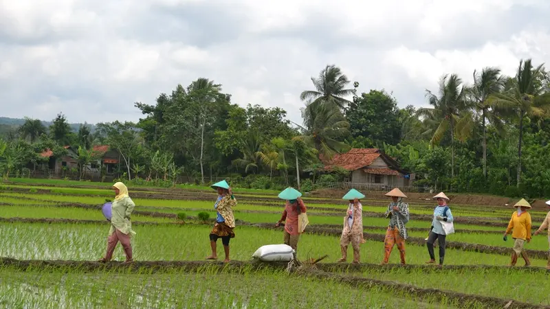 Aktivitas di Desa Bubuhan 2